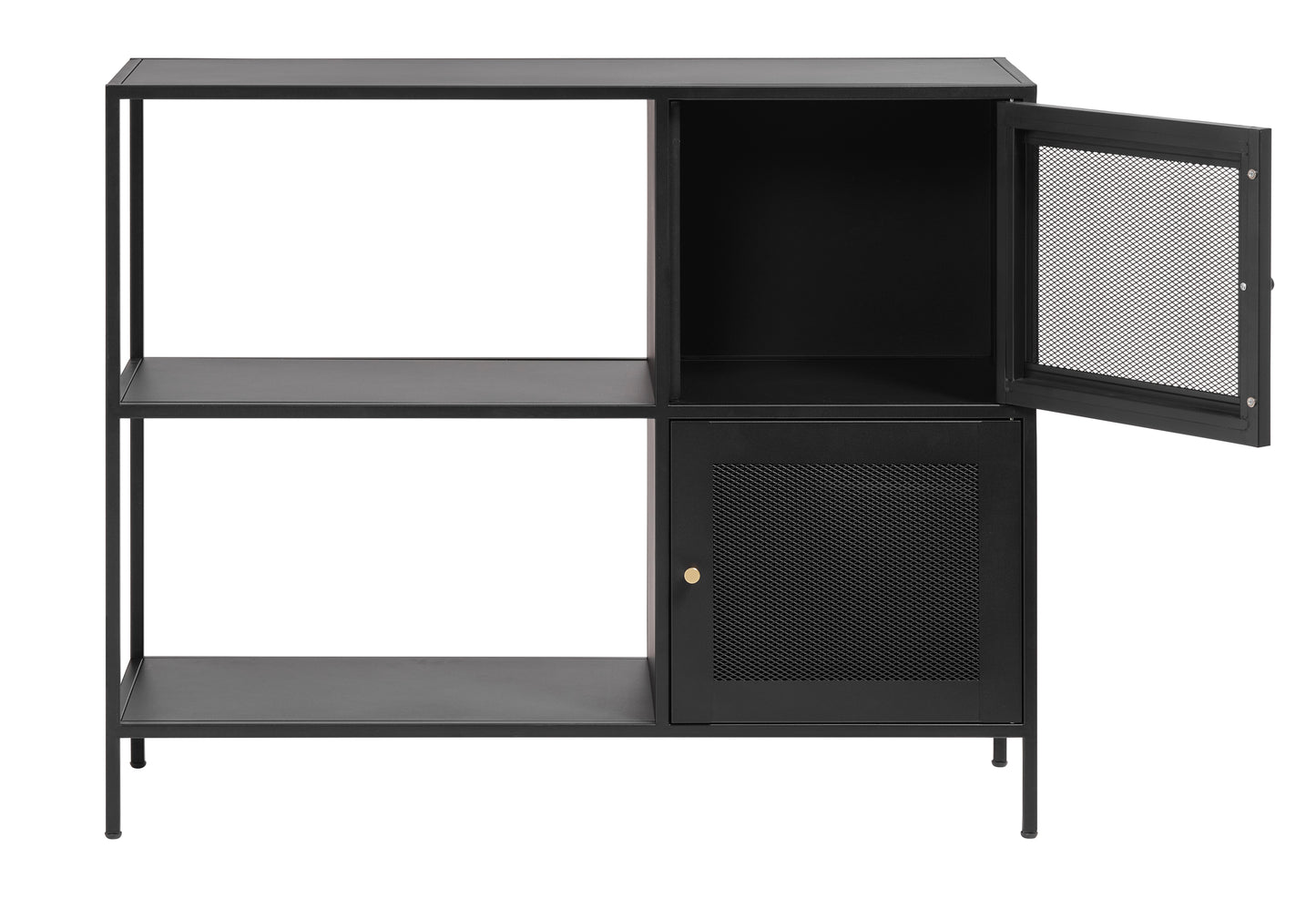 Cabinet with 2 Metal Mesh Doors and Versatile Storage Bookcase
