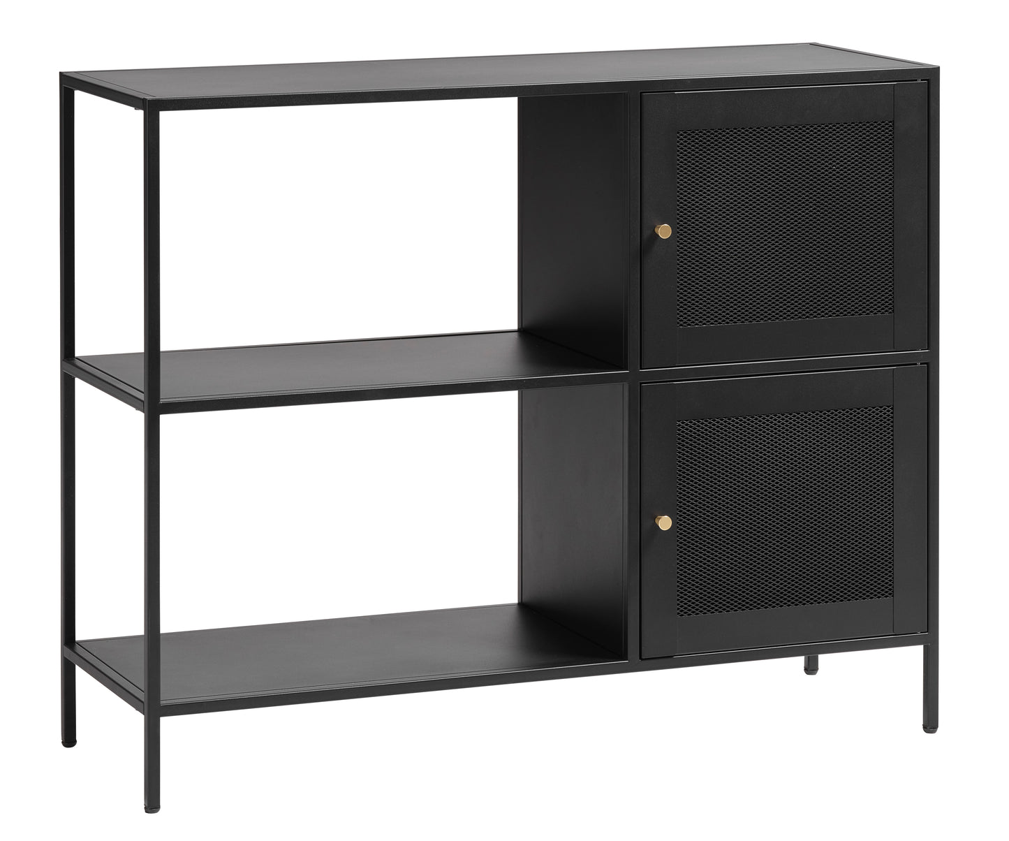 Cabinet with 2 Metal Mesh Doors and Versatile Storage Bookcase