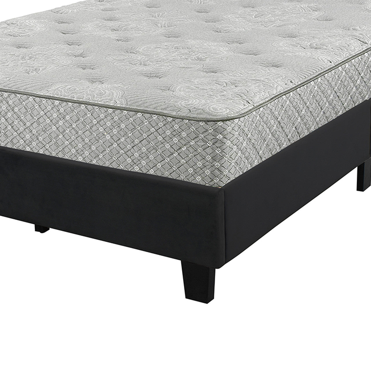 Go Green Woods Monica Velvet Upholstered Full Platform Bed